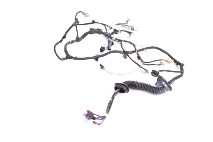 Cablaj ușă dreapta față TESLA MODEL X 2017 OEM: 1032432-00-G 14881518