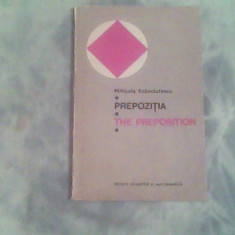 Prepozitia-the preposition-Mihaela Stanciulescu