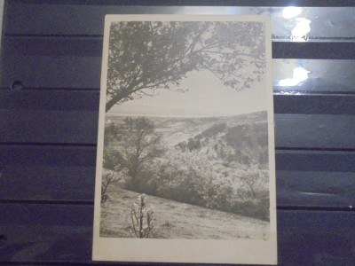 R.P.R. - MOLDOVA NOUA - VEDERE SPRE DUNARE - 1958 - CIRCULATA, TIMBRATA - foto