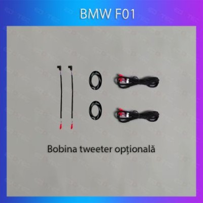 Lumini Ambientale BMW Seria 7 dedicat tweeter control telefon sau sistem original CarStore Technology foto