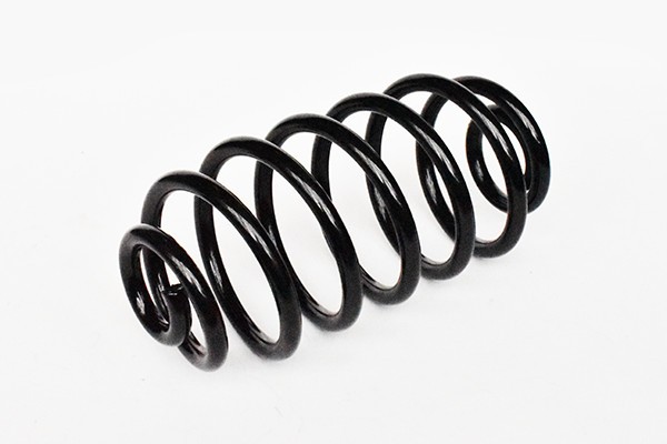Arc Suspensie Spate 65954 NGH 02.03.024