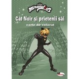 Cat Noir si prietenii sai. Carte de colorat, Aramis