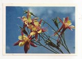 FA75-Carte Postala- RUSIA - Pravda, Watershed Flower , necirculata 1965