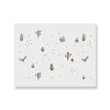 Sablon Perete vopsire, tencuiala 900x600x0.7mm Cactus Refolosibil, model MXSP7081, Oem