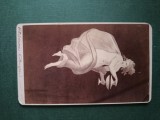 fotografie galerie PICTURA ORASUL ANTIC POMPEI ,dimensiuni 11 cm x 6 cm, anii 1900,
