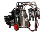 Aparat de muls vaci Melasty galvanizat, motor pe benzina, 2 posturi si bidon inox 40 L