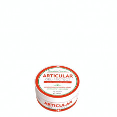 Articular Gel-Protect &amp;amp;#8211; 150 ml foto