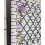 Nature Spalier de gradina, antracit, 50x150 cm, PVC GartenMobel Dekor, vidaXL