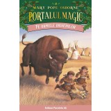 Pe urmele indienilor. Portalul magic nr. 18, Mary Pope Osborne