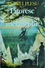 Andrei Plesu - Pitoresc si melancolie