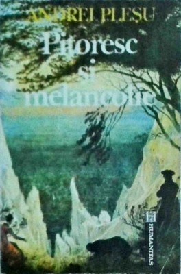 Andrei Plesu - Pitoresc si melancolie foto