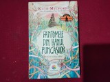 Fantomele din Hanul Pungașilor - Kate Milford (6)