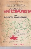 Cicerone Ionitoiu - Rezistenta anticomunista din Muntii Romaniei 1946-1958
