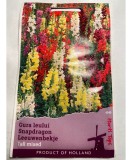 Seminte flori Antirrhinum Majus Maximum &ndash; Gura Leului Horti Tops 0,5 g., Oem