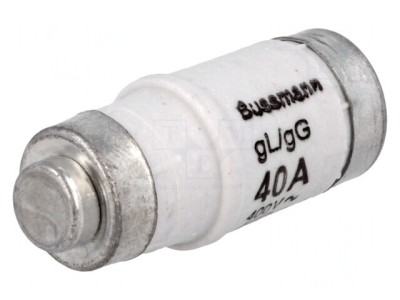 Siguranță ceramică 40A 400VAC 250VDC industrială foto