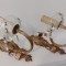 Set 2 elegante aplice din bronz