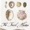 The Fossil Hunter: Dinosaurs, Evolution, and the Woman Whose Discoveries Changed the World