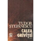 Calea Grivitei - roman -