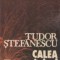 Calea Grivitei - roman -