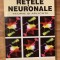 Inteligenta artificiala. Retele neuronale. Teorie si aplicatii de Dan Dumitrescu