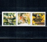 Siria 1995 - Păsări cantatoare, serie neuzata