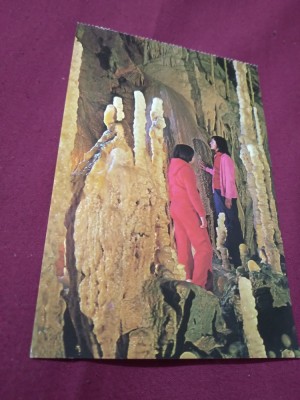 CARTE POSTALA BIHOR-PESTERA URSILOR CHISCAU NECIRCULATA foto