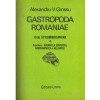 Alexandru V. Grossu - Gastropoda Romaniae - Ordo Stylommatophora 4 -