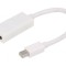 Adaptor DisplayPort la HDMI, 15cm, Alb