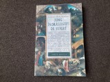 LAVINIA BARLOGEANU - JUNG INDRAGOSTIT DE SUFLET * SINELE : INTRE OM, DUMNEZEU SI DIAVOL , 2013