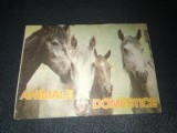 CARTE PLIABILA ANIMALE DOMESTICE 1986
