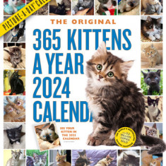 365 Kittens-A-Year Picture-A-Day Wall Calendar 2024