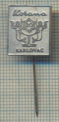 Y 300 INSIGNA- KORONA -KARLOVAC- CROATIA -IUGOSLAVIA -PENTRU COLECTIONARI foto