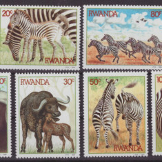 32-RUANDA 1984-Animale din Africa-mamifete-Serie de 8 timbre nestampilate MNH