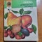 ghidul gradinalului amator - din anul 1976 - vol. 2