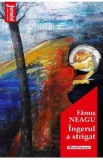 Ingerul a strigat - Fanus Neagu