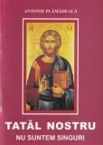 Antonie Plamadeala - Tatal Nostru. Nu suntem singuri