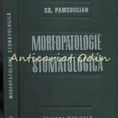 Morfopatologie Stomatologica - Gr. Pambuccian