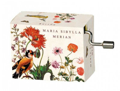 Flasneta Maria Sibylla Merian - Pasari - Vivaldi Spring foto