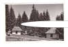 CP Harghita Bai, ocupatia maghiara, animata, circulata 1943, stare buna, Printata, Miercurea Ciuc