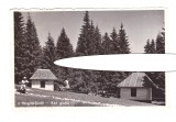 CP Harghita Bai, ocupatia maghiara, animata, circulata 1943, stare buna, Printata, Miercurea Ciuc