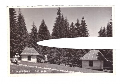 CP Harghita Bai, ocupatia maghiara, animata, circulata 1943, stare buna foto