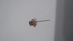 INSIGNA STRAINA foto