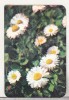 Bnk cld Calendar de buzunar - 1979 - Electroexportimport Bucuresti