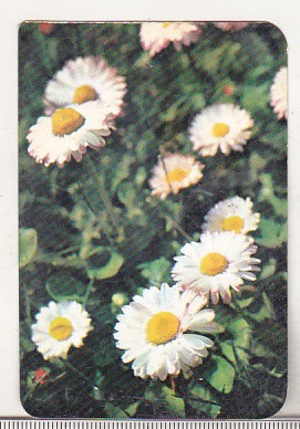 bnk cld Calendar de buzunar - 1979 - Electroexportimport Bucuresti foto