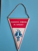 Fanion Federatia Romana de baschet / CD1P