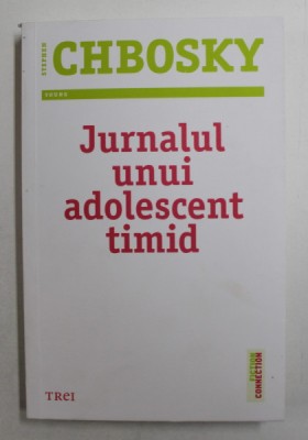 JURNALUL UNUI ADOLESCENT TIMID , roman de STEPHEN CHBOSKY , 2013 foto