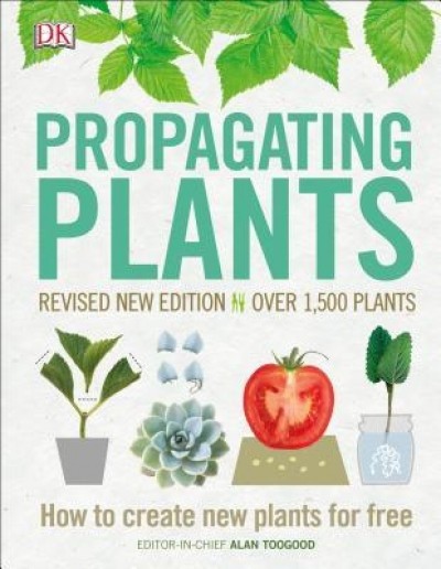 Propagating Plants: How to Create New Plants for Free