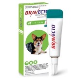 Bravecto Spot-On C&acirc;ini 500 mg (10 - 20 kg) - Antiparazitar Extern de Lungă