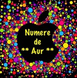 Numere Telefon Vip 07xy 654321 Numar Aur Gold Sim Preferential