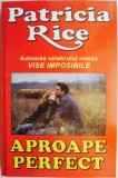 Aproape perfect - Patricia Rice, Roman de dragoste